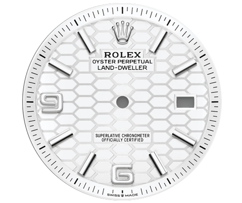 Rolex Land-Dweller intense white dial