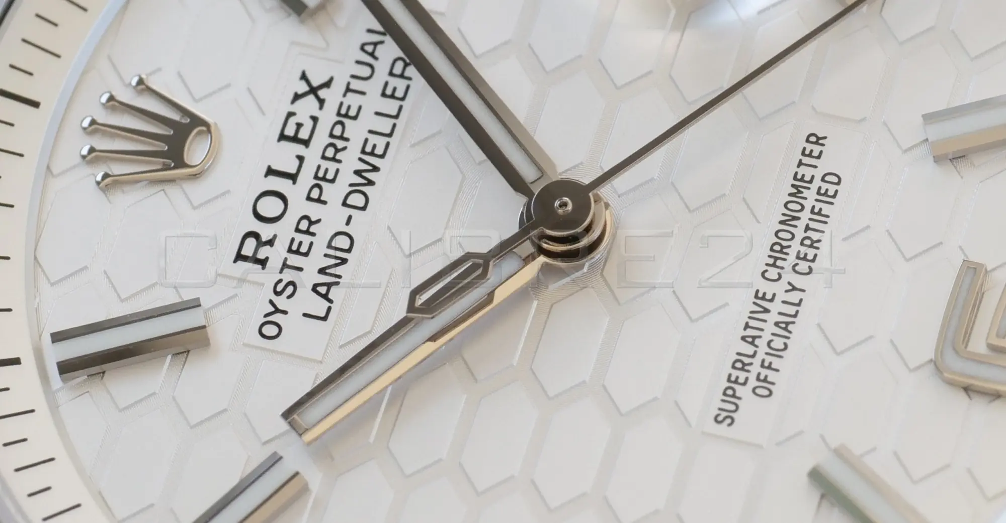 Honey comb pattern Dial Rolex Land Dweller 40 127334 Review details and specifications at calibre24